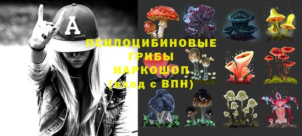 трава Алзамай